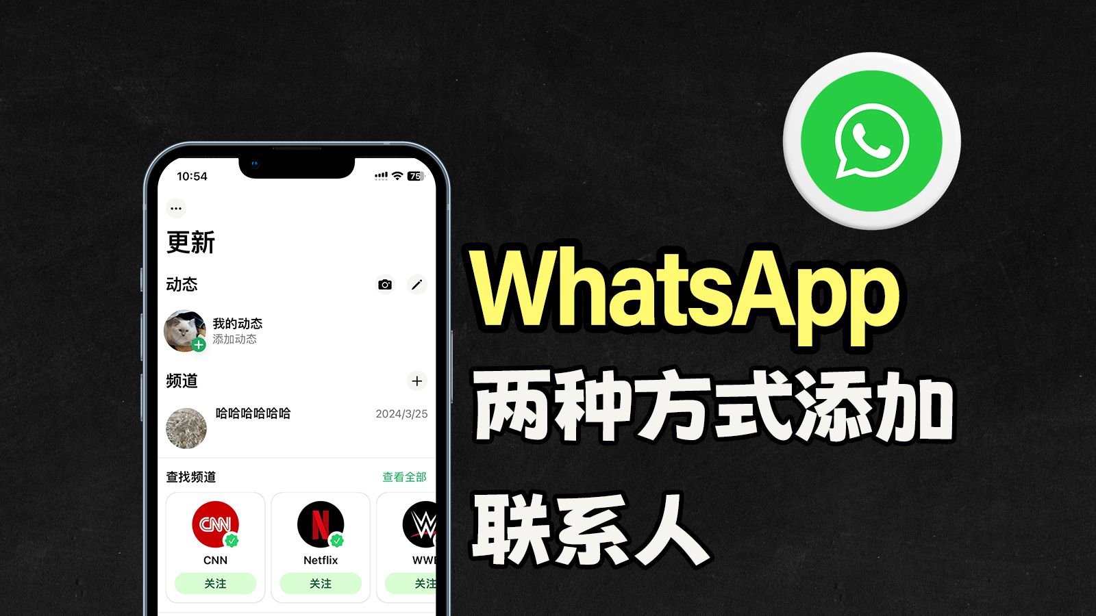 whatsapp网页版为什么无法注册