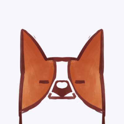 whatsapp网页版官网入口 whatsapp手机版怎么用 